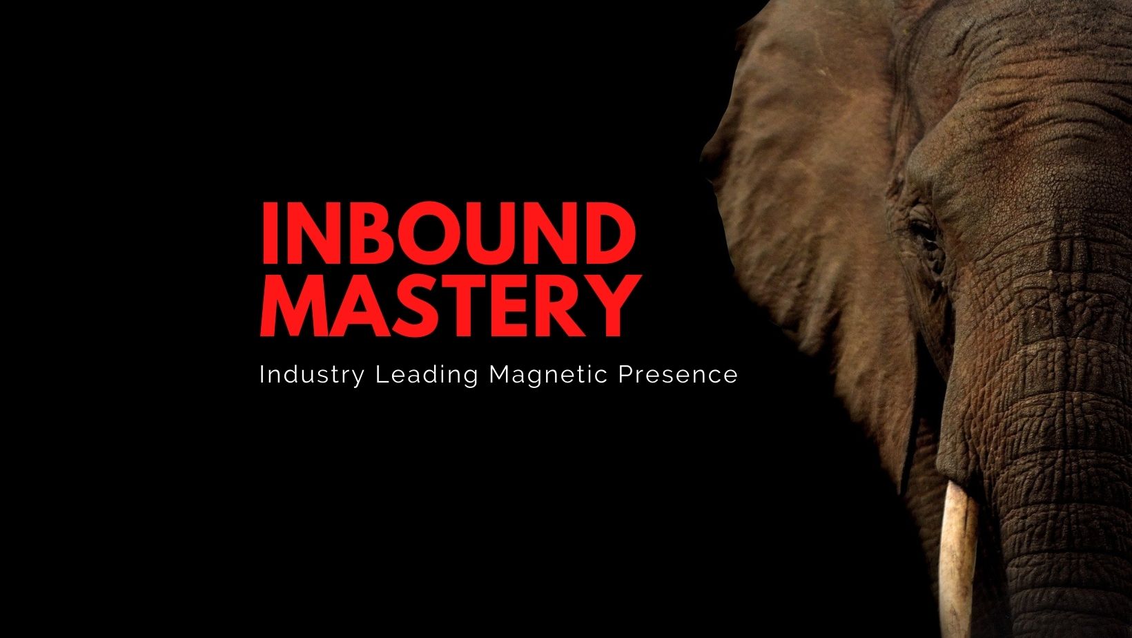 Inbound Mastery Header Inbound Mastery Header